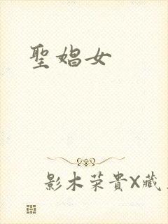圣娼女封面