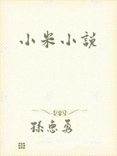 小米小说封面