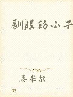 驯服的小子4封面