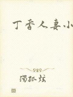 丁香人妻小说