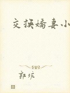 交换娇妻小说