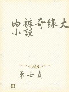 内裤奇缘大团结小说封面