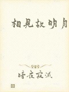 相见故明月