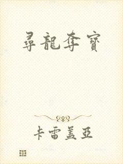 寻龙夺宝