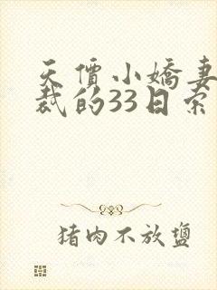 天价小娇妻,总裁的33日索情全文免费封面