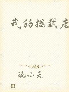 我的总裁老妈