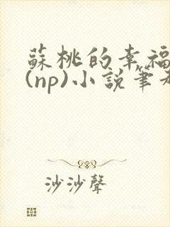 苏桃的幸福生活(np)小说笔趣阁沐沐