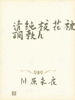 清纯校花被地狱调教h封面