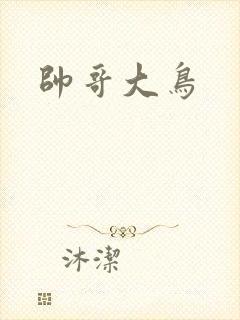 帅哥大鸟