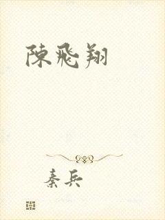 陈飞翔封面