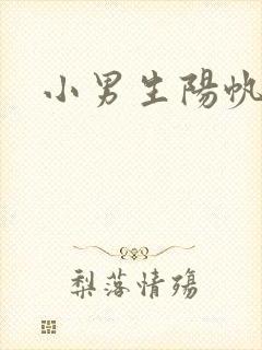 小男生阳帆