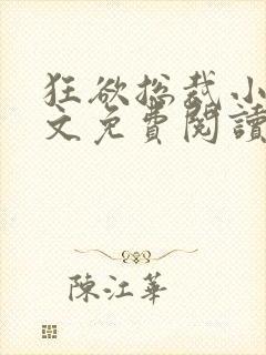 狂欲总裁小说全文免费阅读