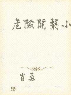 危险关系小说