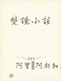 双镜小说
