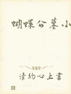 蝴蝶公墓小说封面