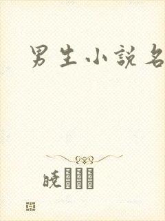 男生小说名字