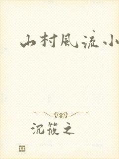 山村风流小说封面
