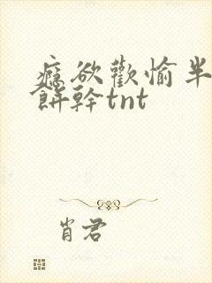 瘾欲欢愉半块小饼干tnt