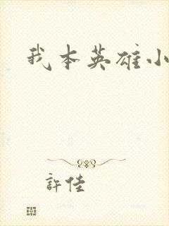 我本英雄小说