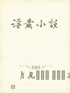 淫黄小说