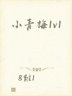 小青梅1v1