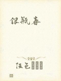 银瓶春封面