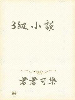 3级小说