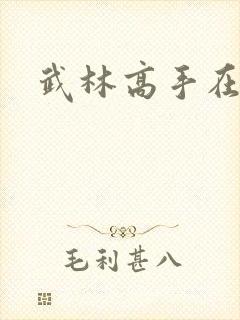 武林高手在异界