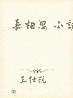 长相思 小说封面