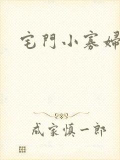 宅门小寡妇