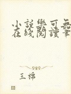 小说乐可无弹窗在线阅读笔趣阁txt