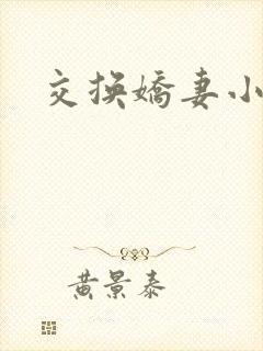 交换娇妻小说