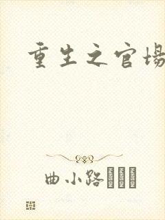 重生之官场风流