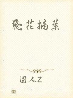 飞花摘叶封面