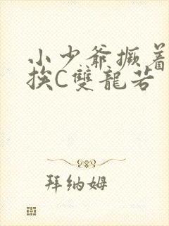 小少爷撅着屁股挨C双龙若封面