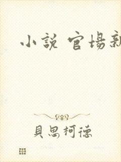 小说 官场新贵