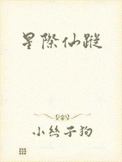 星际仙踪封面