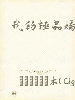我的极品娇妻