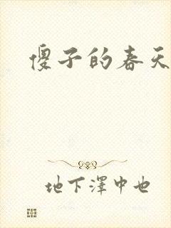 傻子的春天封面