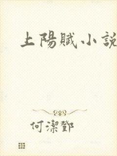上阳赋小说
