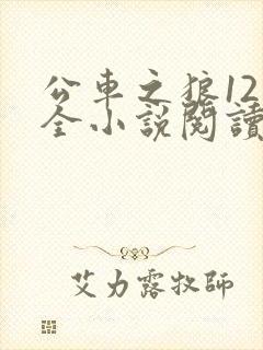 公车之狼12集全小说阅读