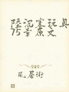陆沉塞玩具高速75章原文