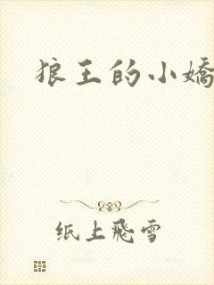 狼王的小娇妻