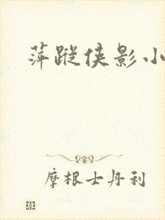 萍踪侠影小说