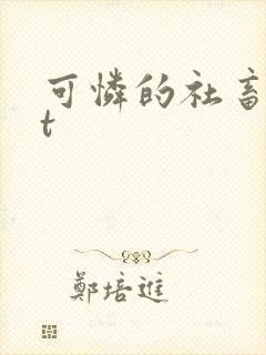 可怜的社畜txt