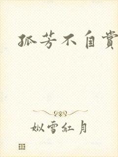 孤芳不自赏小说