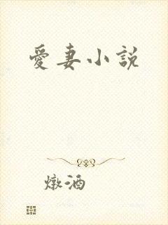爱妻小说