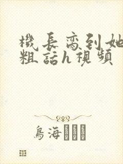 机长脔到她哭h粗话h视频