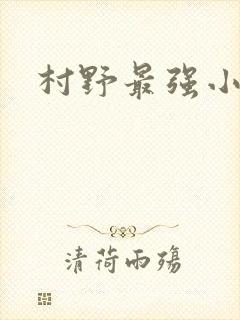 村野最强小农民