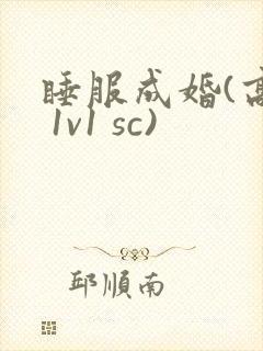 睡服成婚(高h 1v1 sc)